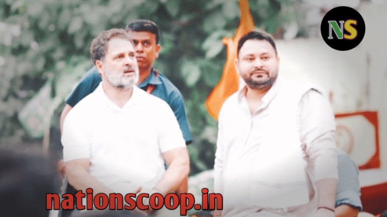 वोट‑चोरी